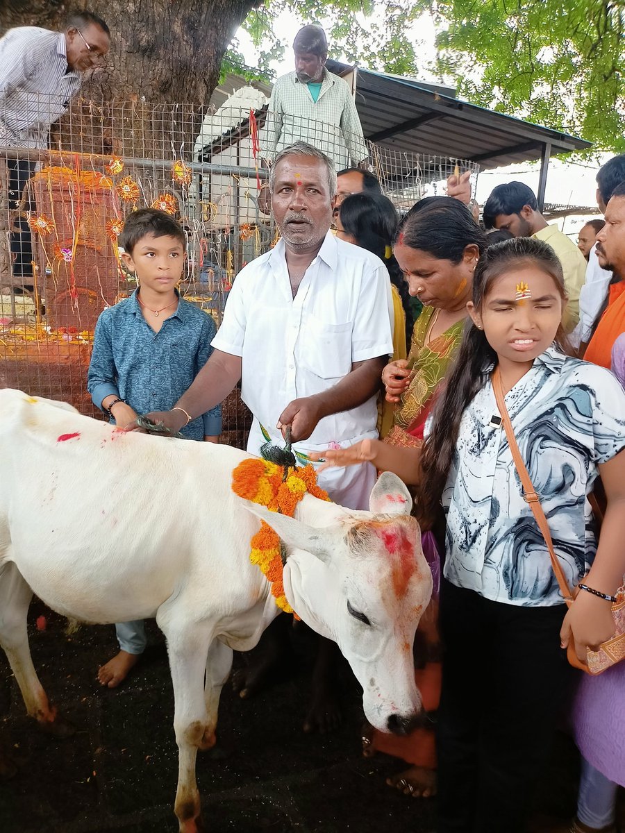 MAHENDER THOTAPALLI tweet media