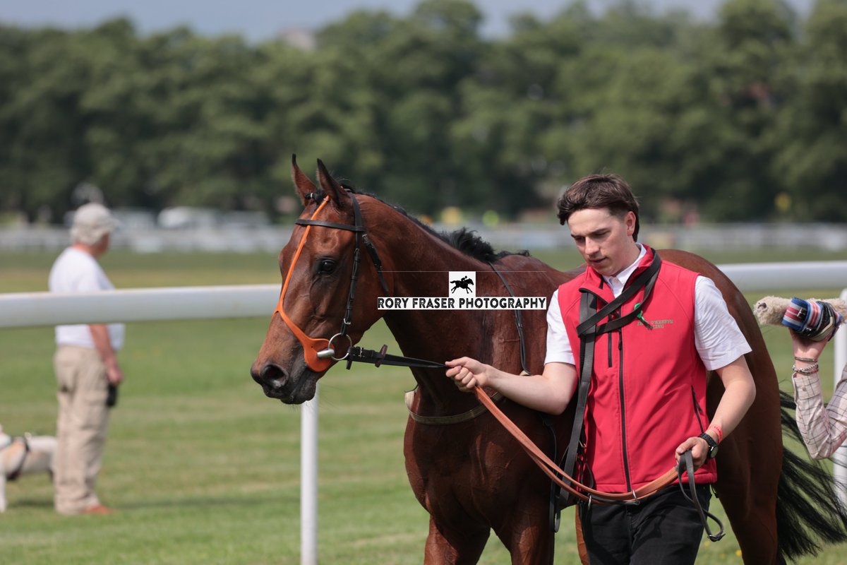 Rory Fraser Photography🤘 (@92roryf) on Twitter photo GEORGECANDOIT (Territories x Organza) at York last weekend for a class four, 3-y-o handicap (7f)
Trained by <a href="/jeddokeeffe/">Jedd O'Keeffe</a> and owned by Caron & Paul Chapman.
Placed six times in nine career starts to date. GEORGECANDOIT (Territories x Organza) at York last weekend for a class four, 3-y-o handicap (7f)
Trained by <a href="/jeddokeeffe/">Jedd O'Keeffe</a> and owned by Caron & Paul Chapman.
Placed six times in nine career starts to date.