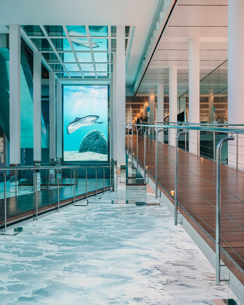 Layers of Reality tweet media