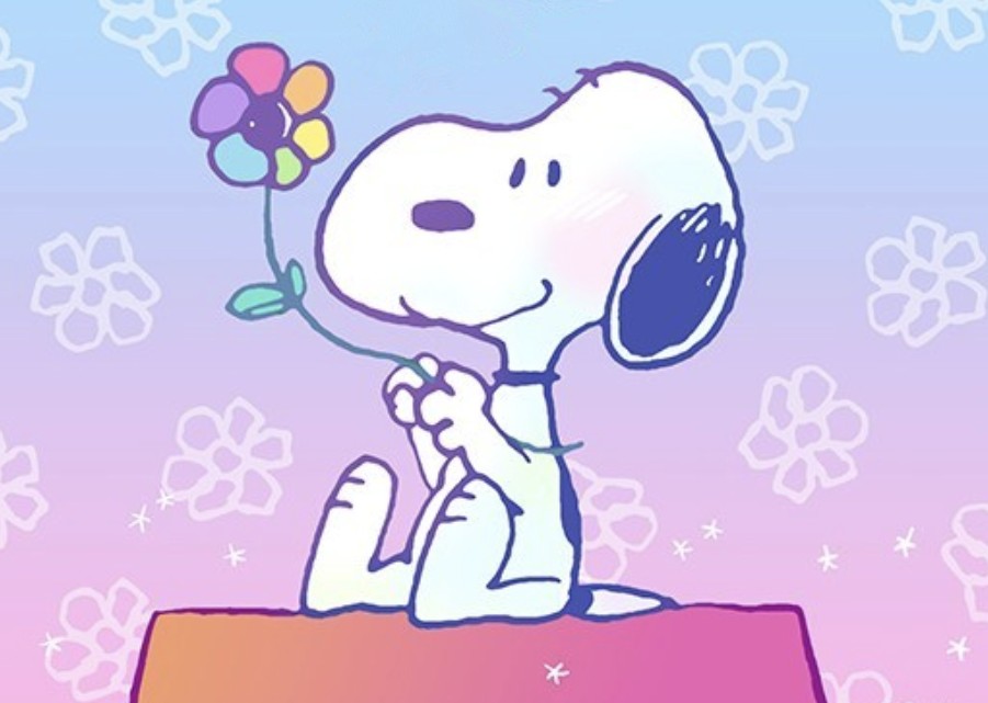 🐶D-206🐶
#김재환 #KIMJAEHWAN