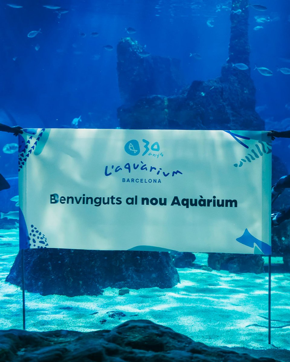 Layers of Reality tweet media