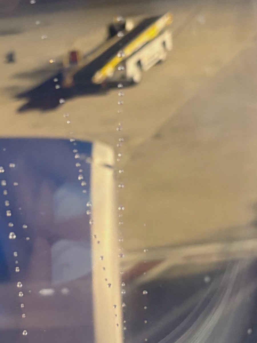 Stacy Lambe tweet media