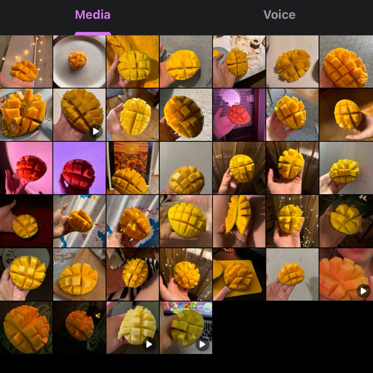 dirty_kittyX's tweet photo. I have a collection of mango photos https://t.co/eDvcftzOfW