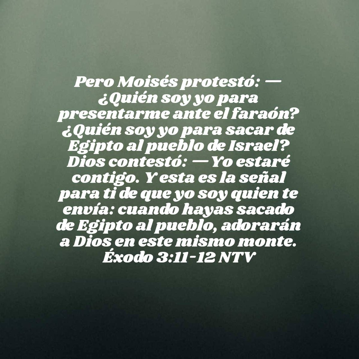 La misma promesa que Dios hizo a Moisés: "Yo estaré contigo", te la hace a vos también.
¿Seguirás luchando solo o confiarás en la bondad y el poder del Señor?
Éxodo 3 #rpsp