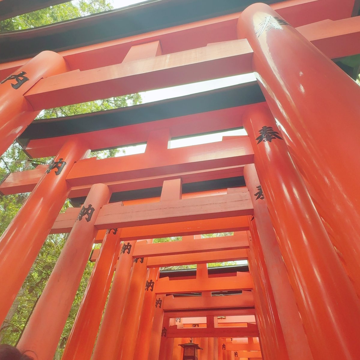 mochiya0504's tweet image. 京都行って蕎麦を打ってきたオタク
灰七チャンも一生懸命こねこねしてあの綺麗な長さになるよう丁寧に切ったんだろうな……愛……私が夏なら愛しさのあまり二人をズゾッしてしまう