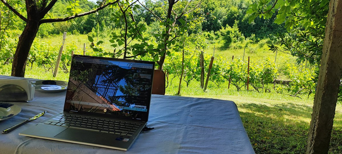 Leki (@cryptoleki) on Twitter photo Good life.
Everything I need is here + winning with my Arena friends.
Probably my best decision in crypto, was to join <a href="/TheArenaApp/">The Arena ⚔️</a>
Have a great Sunday. Good life.
Everything I need is here + winning with my Arena friends.
Probably my best decision in crypto, was to join <a href="/TheArenaApp/">The Arena ⚔️</a>
Have a great Sunday.