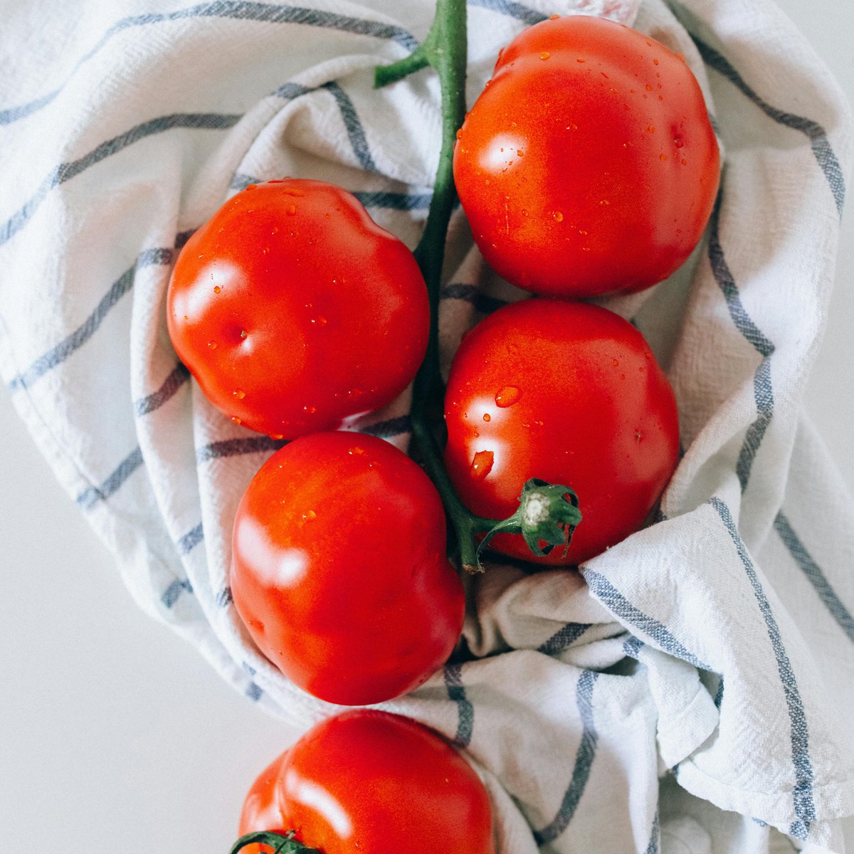 NDTVFood's tweet image. 5 Health Benefits Of Eating Tomatoes Daily
food.ndtv.com/webstories/foo…
#healthbenefits #tomatoes #tomatobenefits