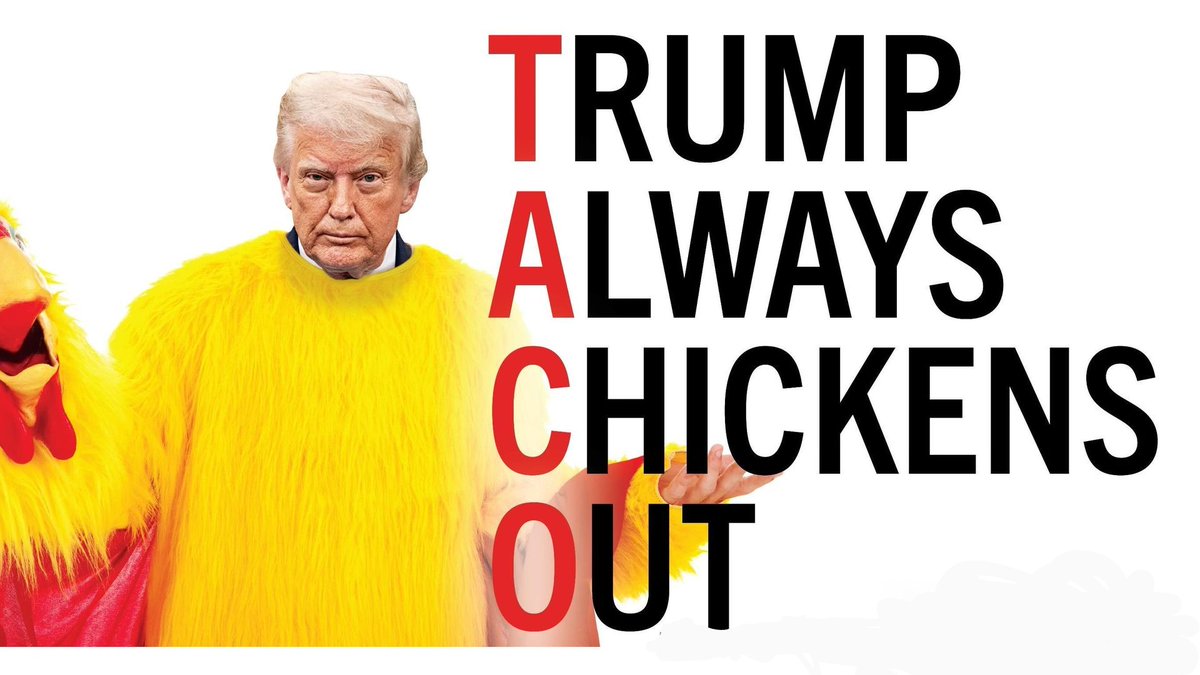 Madkat03 tweet media