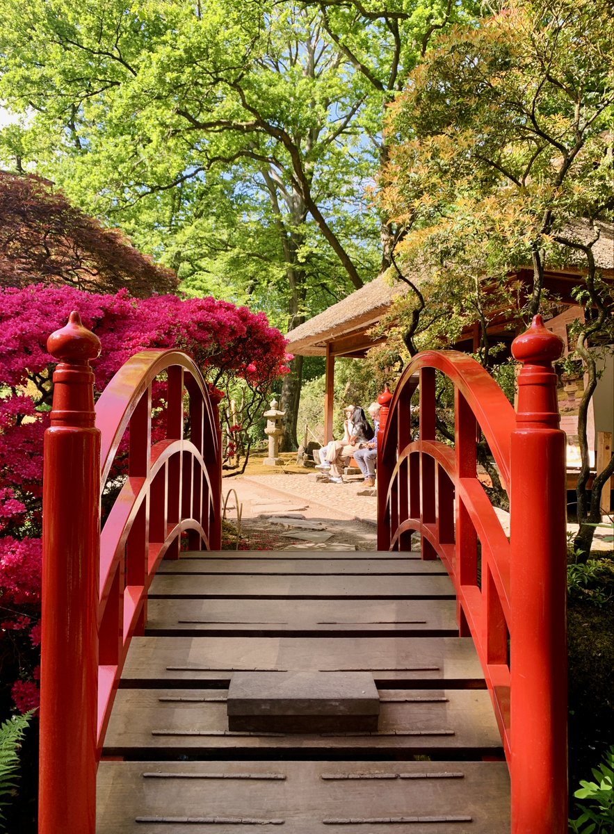 Nóg een laatste kans-tip: de Japanse Tuin is nog t/m 2e Pinksterdag te bezoeken.
M'n FB-post met nieuwe foto's die ik er in mei nam leverde 205 likes op! De zon hielp wel: facebook.com/followmyfootpr… 
In dit blog zie je ook foto's met minder weer: followmyfootprints.nl/de-japanse-tui… #JapanseTuin