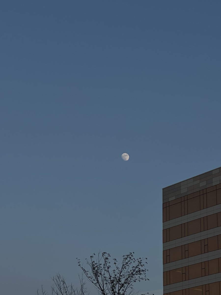 softbbin's tweet image. the moon outside of the venue 🥹 bin