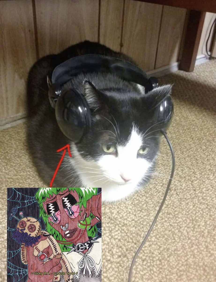 darkLixX_'s tweet photo. soy ese gato 🫰 https://t.co/4buOLJs4UN