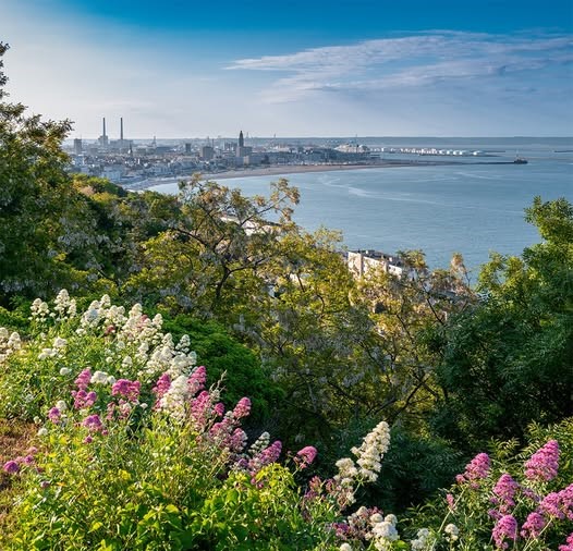 ღ҉ღ✽¸.• •.¸✽ღ҉ ღ҉ ღ҉ღ✽¸.• •.¸✽ღ҉ღ
Happy Sunday 🌊☀️⛵️☀️🌊
🌿Joli Week-end de Normandie 🇫🇷🌿
💚💙Very good Pentecost weekend 💙💚
ღ҉ღ✽¸.• •.¸✽ღ҉ ღ҉ ღ҉ღ✽¸.• •.¸✽ღ҉ღ
🩰💃🩰