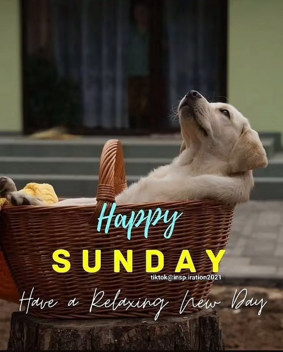 ૮૨iઽƬiทα #MᥲɾᥴᥱTᥱAყᥙᑯᥲ🔮 (@dreams_bcn) on Twitter photo Happy SUNDAY X fam 🤗
<a href="/NM1k_/">༺ 𒆜𝑵𝑬𝑬𝑵𝑨𝑯𒆜 ༻</a>
@mukzep
<a href="/dai_sy5/">Daisy🦋</a>
<a href="/dr2hide/">dr2hide</a>
<a href="/hala4h3/">هلا بى هلا</a>
<a href="/cori0911/">🅒✫🅞✫🅡✫🅘✫</a>
<a href="/FegensV/">FEGENS VIAUD</a>
<a href="/kamil_gk/">kamil ali gök</a>
<a href="/_K4RiNN/">Karin</a>
<a href="/slappa24/">SLAPPA</a>
<a href="/Fisuram4/">Fisuram4</a>
<a href="/zbdd0001/">America First</a>
<a href="/XEpifania3/">Sophie</a>
<a href="/glenton123/">Mark Glenton/ Mindfrontiers🤵🧐</a>
<a href="/robbielacky/">robbie</a>
<a href="/OcakAyhan/">🇹🇷🇵🇸Ocak Ayhan 💙🌷</a>
<a href="/Imagine269/">༺❀ꉔꋪ꒐ꇙ❀༻#MᥲɾᥴᥱTᥱAყᥙᑯᥲ🔮</a>
<a href="/EvaMarcosB/">Eva Maria</a>
<a href="/MeybeDom2/">CARMENCITA 🌺🌹🌻🌴💫🌎</a>
<a href="/Sophia56891/">Sophia</a>
<a href="/oscarrodril01/">Oscar Rodriguez</a>
<a href="/MarcelaErcia/">🕉MARCE🐉⚖ #MarceTeAyuda🔮#MarceLive🔄 Meme y Popi</a>
<a href="/VDieyo24431/">vannia aurora</a> Happy SUNDAY X fam 🤗
<a href="/NM1k_/">༺ 𒆜𝑵𝑬𝑬𝑵𝑨𝑯𒆜 ༻</a>
@mukzep
<a href="/dai_sy5/">Daisy🦋</a>
<a href="/dr2hide/">dr2hide</a>
<a href="/hala4h3/">هلا بى هلا</a>
<a href="/cori0911/">🅒✫🅞✫🅡✫🅘✫</a>
<a href="/FegensV/">FEGENS VIAUD</a>
<a href="/kamil_gk/">kamil ali gök</a>
<a href="/_K4RiNN/">Karin</a>
<a href="/slappa24/">SLAPPA</a>
<a href="/Fisuram4/">Fisuram4</a>
<a href="/zbdd0001/">America First</a>
<a href="/XEpifania3/">Sophie</a>
<a href="/glenton123/">Mark Glenton/ Mindfrontiers🤵🧐</a>
<a href="/robbielacky/">robbie</a>
<a href="/OcakAyhan/">🇹🇷🇵🇸Ocak Ayhan 💙🌷</a>
<a href="/Imagine269/">༺❀ꉔꋪ꒐ꇙ❀༻#MᥲɾᥴᥱTᥱAყᥙᑯᥲ🔮</a>
<a href="/EvaMarcosB/">Eva Maria</a>
<a href="/MeybeDom2/">CARMENCITA 🌺🌹🌻🌴💫🌎</a>
<a href="/Sophia56891/">Sophia</a>
<a href="/oscarrodril01/">Oscar Rodriguez</a>
<a href="/MarcelaErcia/">🕉MARCE🐉⚖ #MarceTeAyuda🔮#MarceLive🔄 Meme y Popi</a>
<a href="/VDieyo24431/">vannia aurora</a>