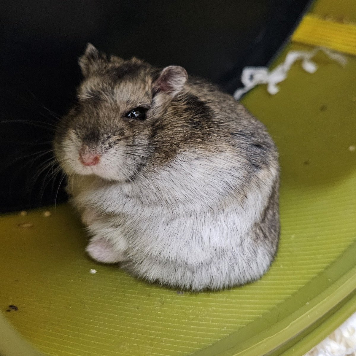 누가 누구게요 ☺️