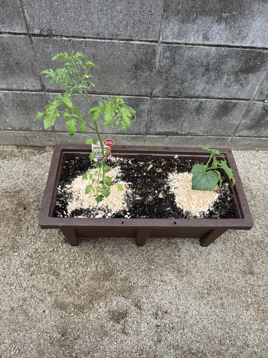フォーテックさんからの荷物📦着🙌
そしてヘラクレス1回目の採卵で👀
廃土の有効活用👍