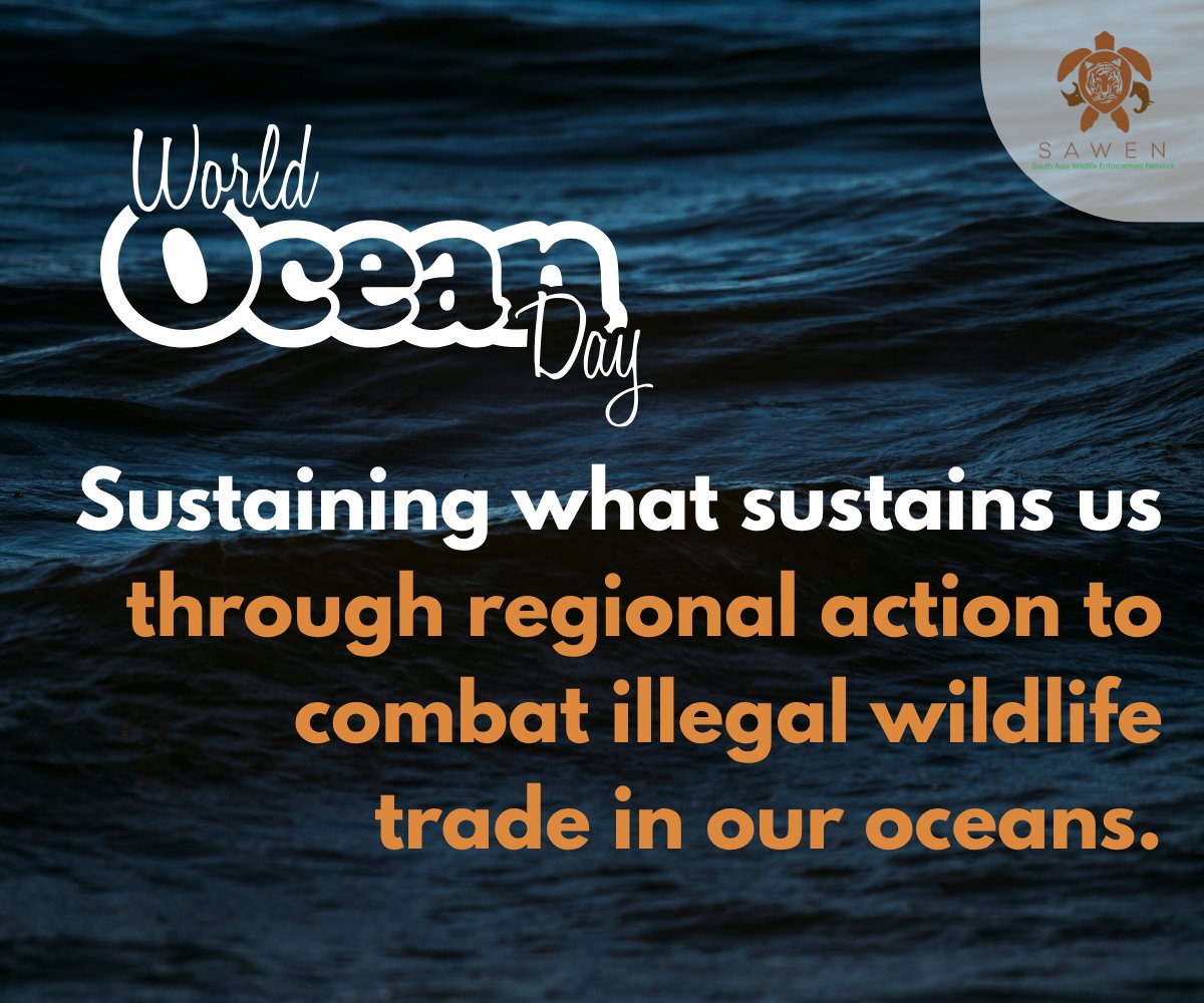 SAWENsec's tweet image. Happy #WorldOceanDay 2025!
This year's theme is "Wonder: Sustaining what sustains us. We are working to protect our marine species against illegal wildlife trade through regional actions and strengthened cross-border cooperation.
#WorldOceanDay #MarineProtection #CombatIWT #SAWEN