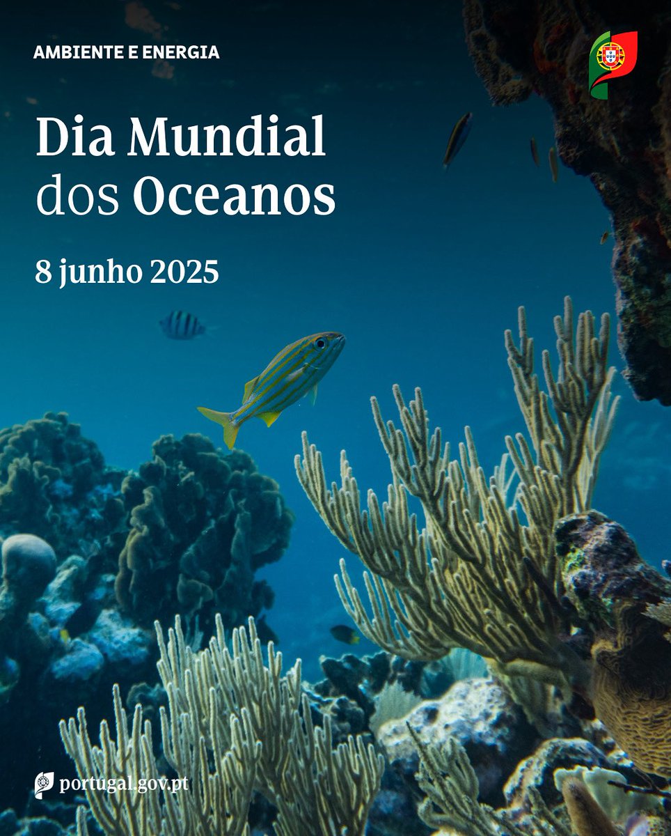 ambiente_pt's tweet photo. 🌊 Hoje assinala-se o Dia Mundial dos Oceanos
Portugal reafirma o seu compromisso com a proteção dos oceanos.
#MAEN #Ambiente #Energia #Oceanos https://t.co/i7L7w64Q9P