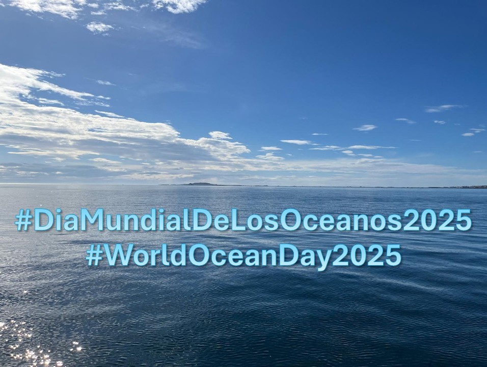 FELIZ 💙 🌊 #diamundialdelosoceanos2025
#WorldOceanDay2025