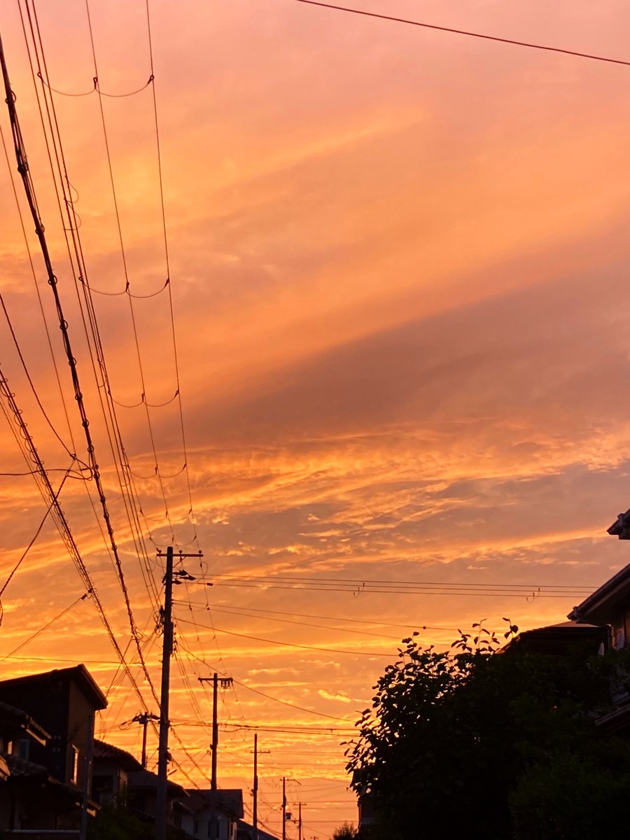 お迎えから帰って来たら夕焼けが綺麗で二人してﾌｧｧｱｱｱｱてなってた(*⁰▿⁰*)

心洗われるね