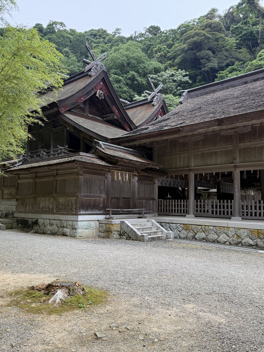 syamashiro0531's tweet photo. 【伊東忠太監修の美保神社の拝殿がこんなに“異形”だったとは。建築と神話が交わる空間へ。】

島根県松江市美保関の「美保神社」。

祭神は「右殿に大国主神の子の事代主神、左殿に大国主神の后の三穂津姫命を祀る。三穂津姫命は大国主神の幸魂奇魂（さきみたま・くしみたま）である「大物主神」の后神。事代主命は神屋楯比売神（かむやたてひめ）と大国主神との間の子供なので義理の母親にあたる」二柱。なので、ふたつの社が並び繋がれた特異な形式「美保造」となっている(事代主命はいまハマっているマンガ「卑弥呼 -真説・邪馬台国伝-」の重要登場人物。熱い、、。)

1928年(昭和3年)に建設された拝殿は伊東忠太の監修(知らなかった、、)。壁がなく四方に吹き放たれていて、天井も仕上げられておらず、床も石敷きのまま(筵を敷いて使われている)。

美保関は大国主命が少彦名命と出会い出雲建国のきっかけとなった場所であり、大国主命の子供である事代主命が国譲を受け入れた場所でもある。

「みほ」という地名は清水の三保半島をはじめとして各地にあるが、「み」(御)という接頭語と、「ほ」(穂)という先端・突端という地形からなる言葉とも言われている。突き出した岬があり、そこの裏に波から守られた湊ができる。そこに各地からの資材や優れた文明・文化がたどり着くというのは各地で起こったことだろう。

優れた文明をもつ中国大陸・朝鮮半島からの人々や物資がやってくる「みほ」こそが国造りの重要地点だったということを感じる場所でした。