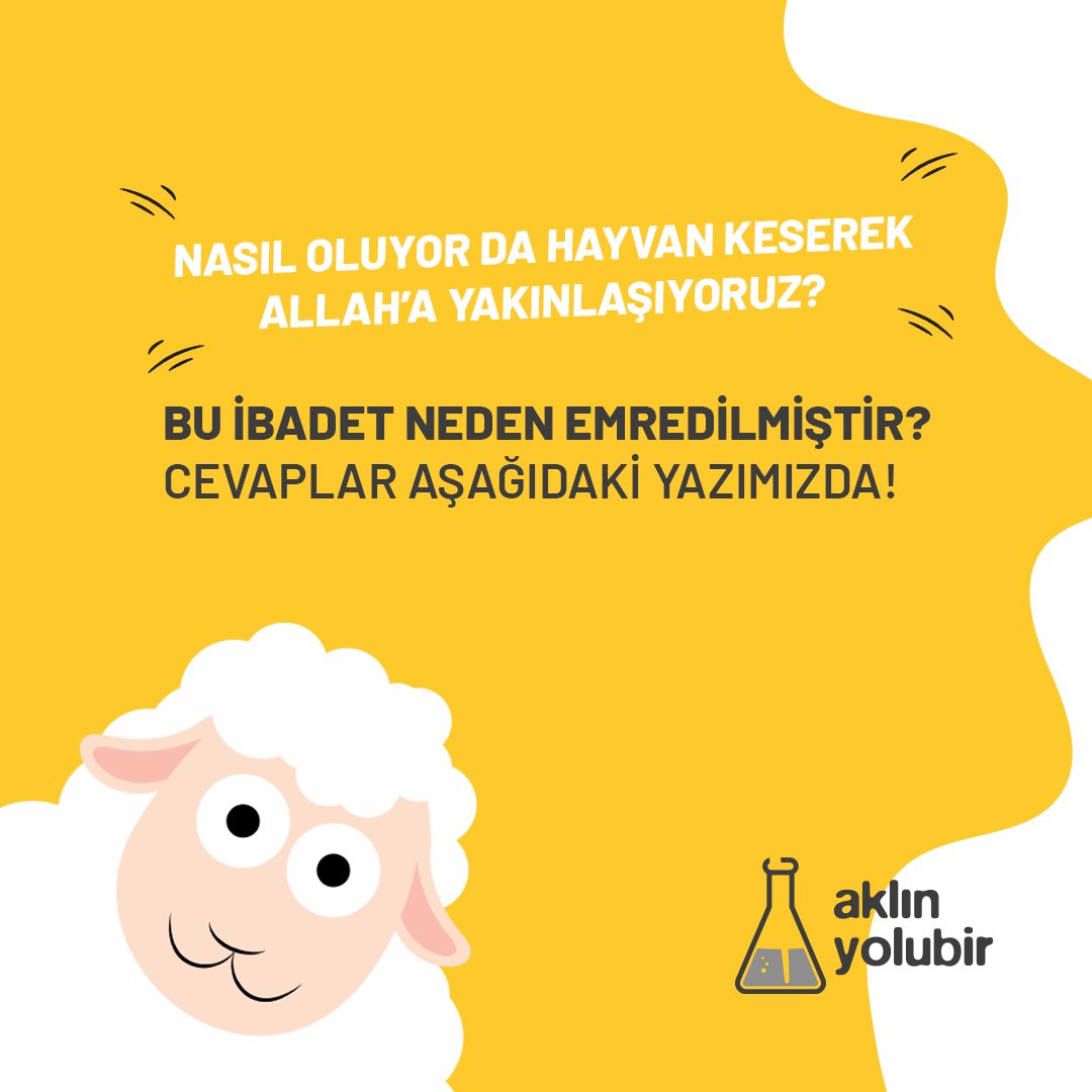 Yazının tamamı aşağıda! 

x.com/aklinyolubir_/…