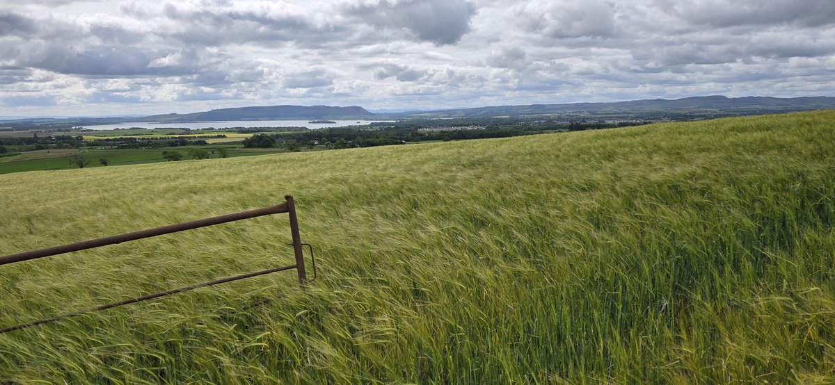 Quietbiglad's tweet photo. A lovely bit of "Jeffing" around the village this morning. Loch Leven and the countryside, looking braw as always. @VisitLochLeven @StormHour @BBCScotWeather
#PerthandKinross #Scotland #LochLeven #Clouds https://t.co/72jl7W3UY4