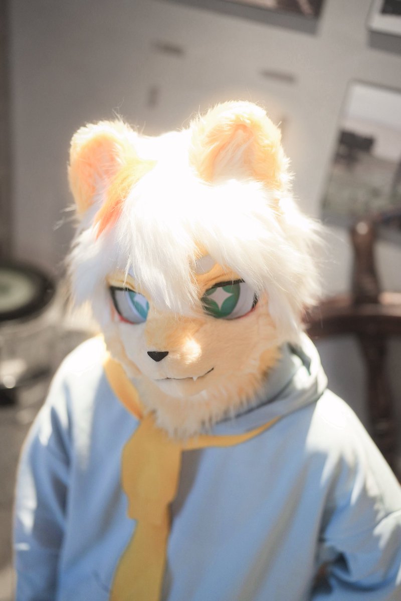Ariel 🦁🔜関けも (@weeklyariel) on Twitter photo 