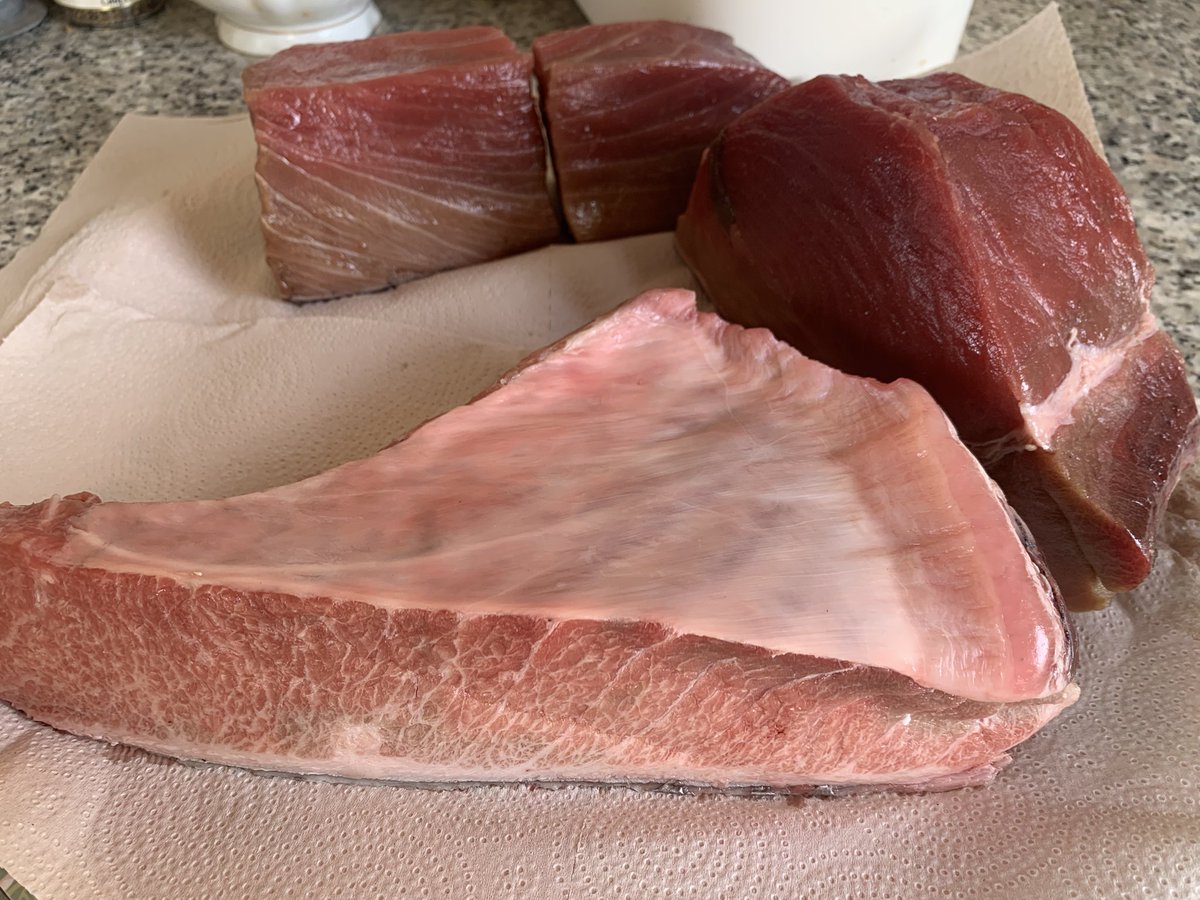 Tres kilos de ventresca, tarantelo y lomo de atún rojo. Se viene brasa.
