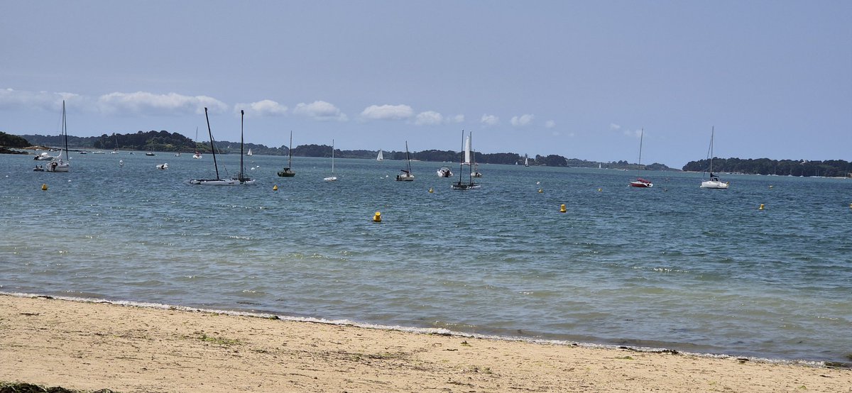 Pique-nique  sur L'île aux Moines
