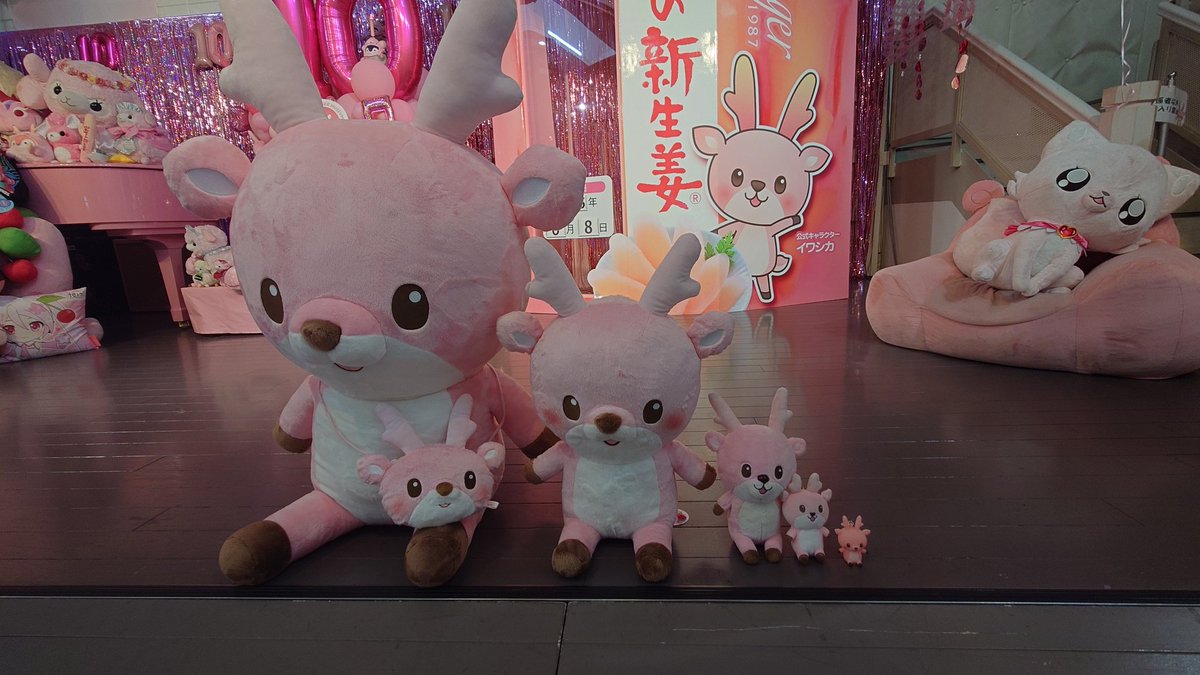 IWASHIKA0410's tweet image. イワシカちゃん全部コンプリートしました!