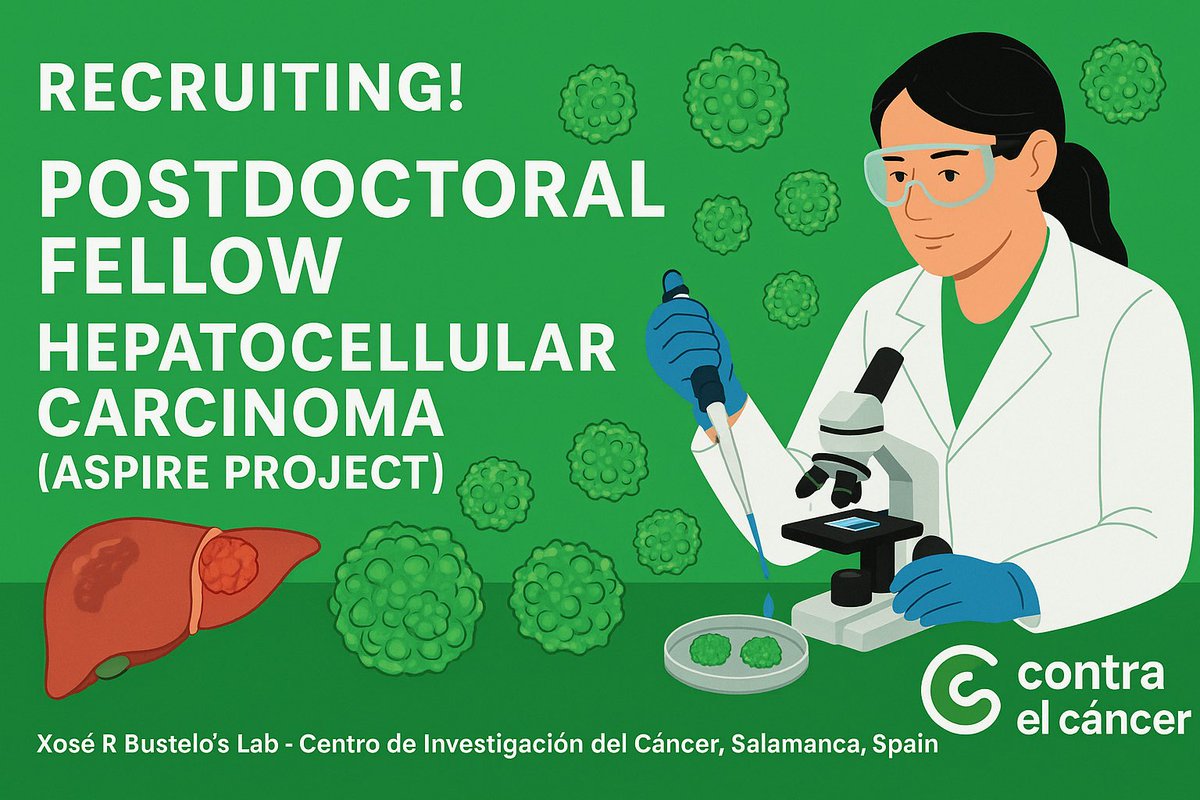 Xose R Bustelo (@xrbustelo) on Twitter photo ✅ We are looking for a postdoc to work in our <a href="/ciccancer/">Centro de Investigación del Cáncer/CSIC-USAL-FICUS</a> lab: 👉#organoids, #CRISPR & #singlecell approaches.
🔬 Focus: Hepatocellular carcinoma
📍 Salamanca, Spain
🎯 <a href="/contracancerINV/">Contra el Cáncer Investigación</a> ASPIRE project
👉 Apply now‼️ ➕Info: euraxess.es/jobs/347140 ✅ We are looking for a postdoc to work in our <a href="/ciccancer/">Centro de Investigación del Cáncer/CSIC-USAL-FICUS</a> lab: 👉#organoids, #CRISPR & #singlecell approaches.
🔬 Focus: Hepatocellular carcinoma
📍 Salamanca, Spain
🎯 <a href="/contracancerINV/">Contra el Cáncer Investigación</a> ASPIRE project
👉 Apply now‼️ ➕Info: euraxess.es/jobs/347140