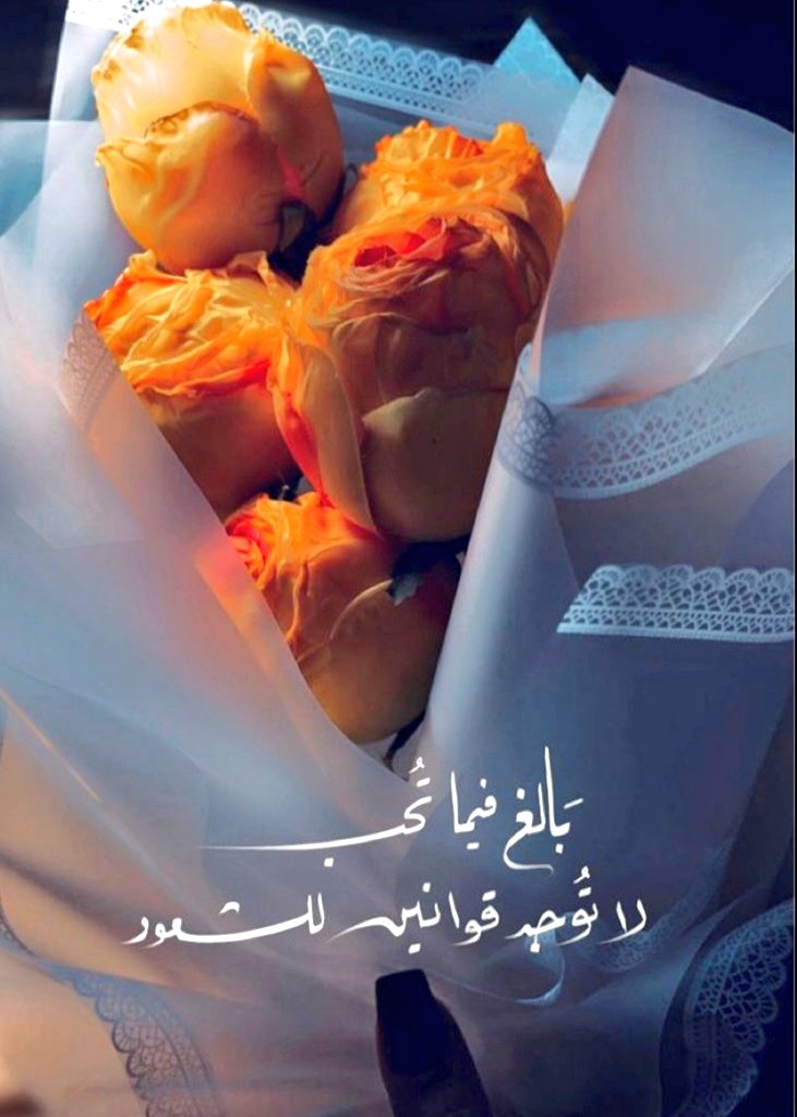 الفهد 𐩱𐩡𐩰𐩠𐩵 (@haunaish) on Twitter photo 