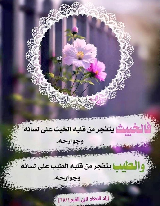 الفهد 𐩱𐩡𐩰𐩠𐩵 (@haunaish) on Twitter photo 