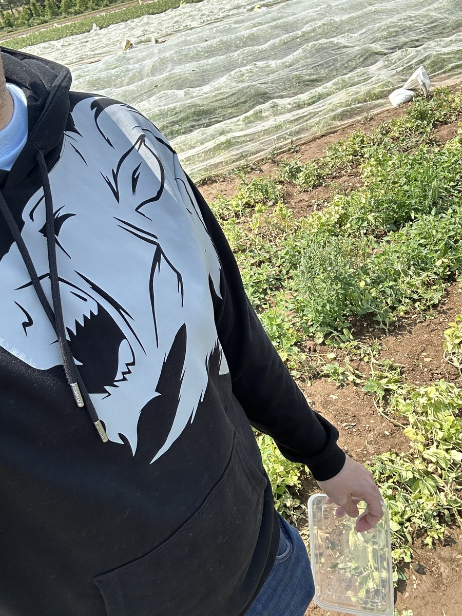 Christopher Doherty (@aap_chris) on Twitter photo Rocking the <a href="/SyndicateOG/">Syndicate Original</a> <a href="/Syndicate/">Tom</a> OG Lion hoddie it felt right wearing for pick your own! Rocking the <a href="/SyndicateOG/">Syndicate Original</a> <a href="/Syndicate/">Tom</a> OG Lion hoddie it felt right wearing for pick your own!