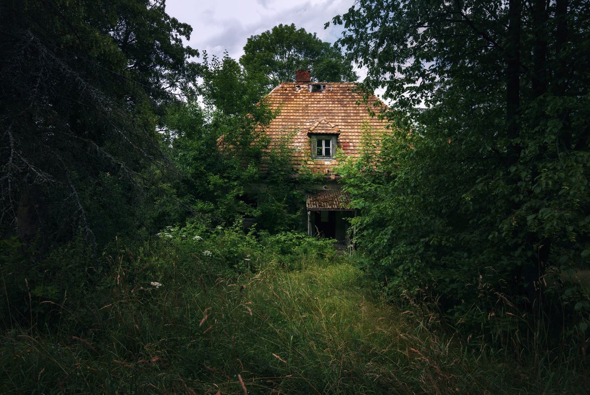 david_drei | Германия