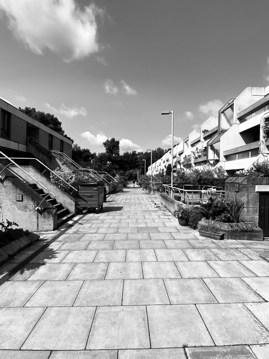 N19Matty's tweet image. Whittington Estate N19…
