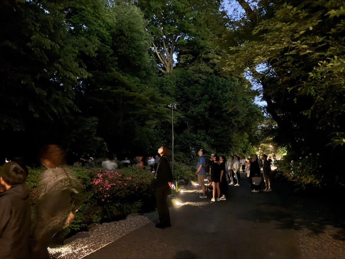 第2期白鳥路のホタル鑑賞会
ホタルは今日は天気の状況も良く、たくさん光ってます。それにつれて人出も多め。ゼミ生による足元の安全のための灯りの設置も慣れてきました。