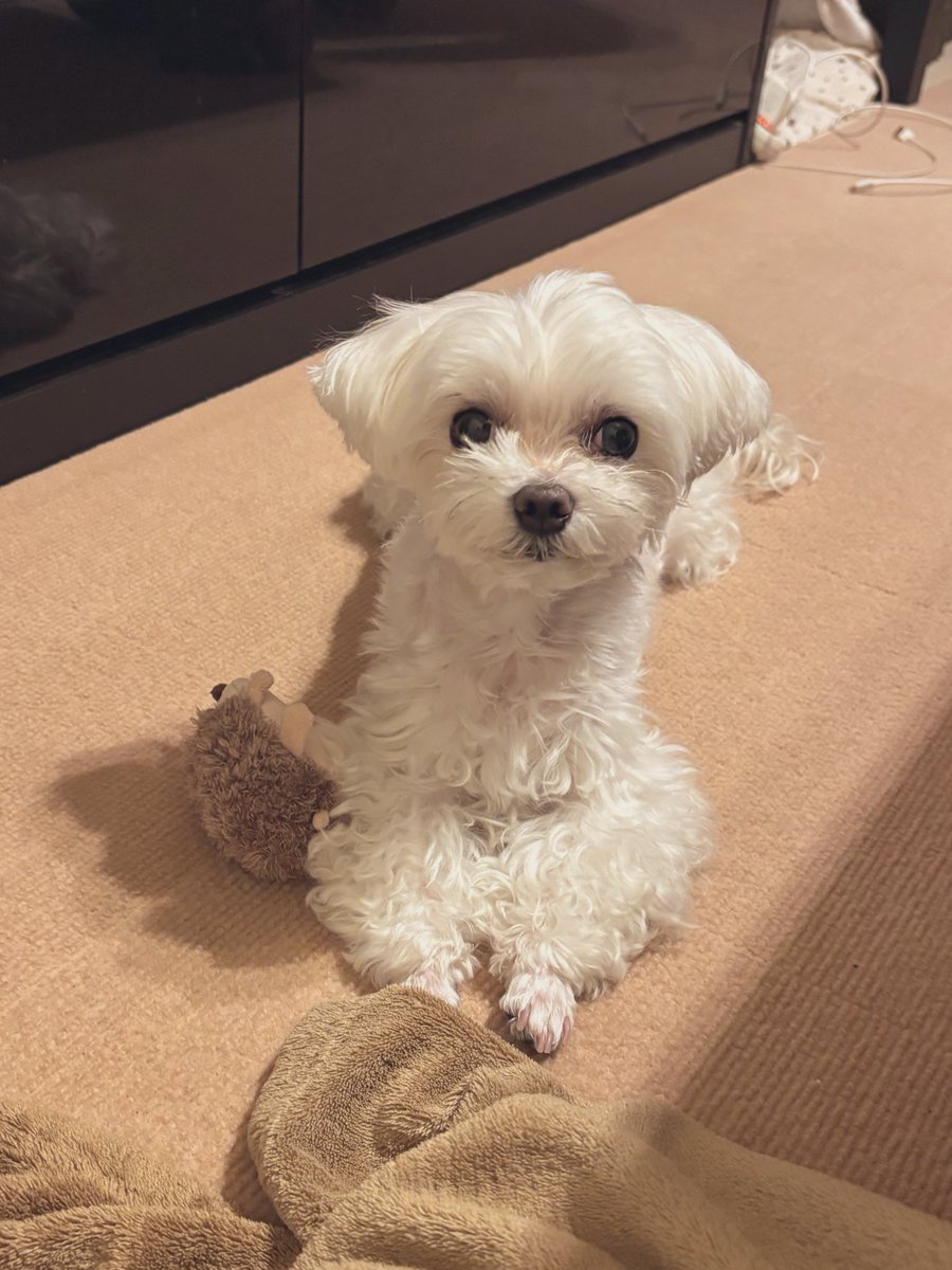 ☆sAyaka☆ (@sAyaka_0526) / Posts / X