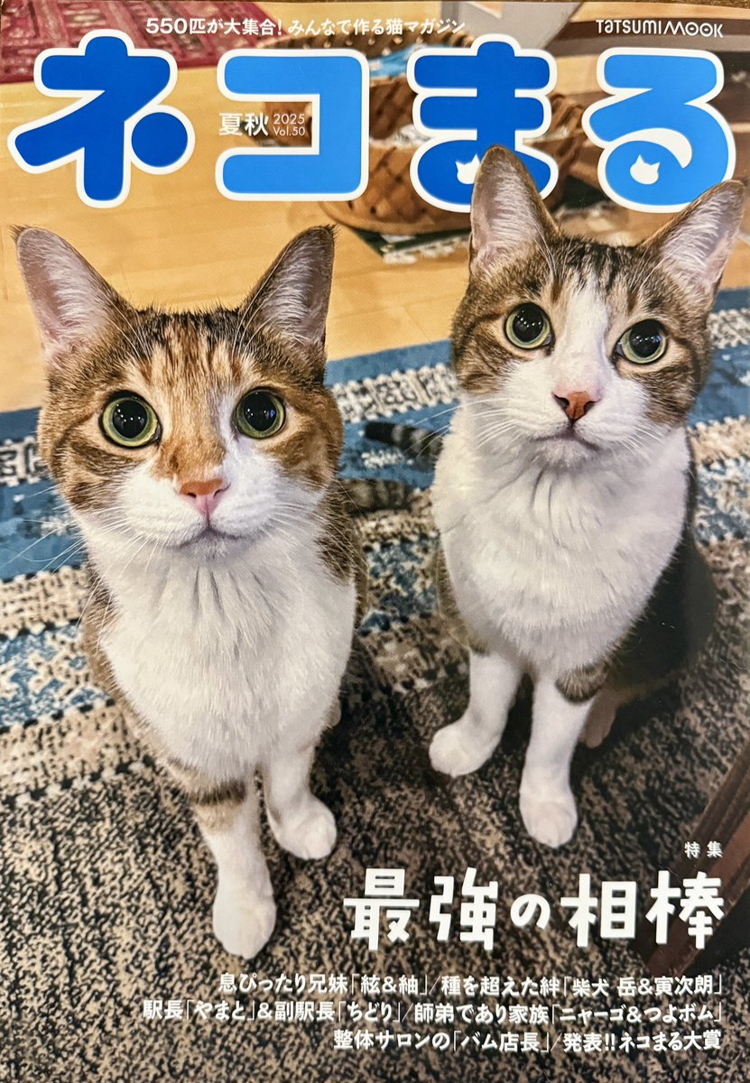 ooji_s's tweet photo. #もなか
ネコまる 夏秋号😻
特別賞を頂きました…「これは事件⁉︎」🙀
ありがとうございました🐈

#茶白猫 #ネコキチ #保護猫 #猫のいる暮らし #cat #ネコまる #ハチカグ #癒し猫 #猫のための家 #猫と暮らす家 https://t.co/DvPe3tbAPB