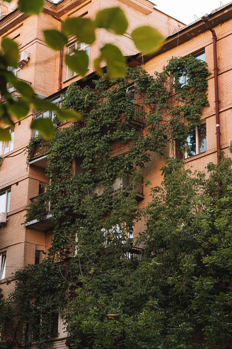 Літо в кольорі