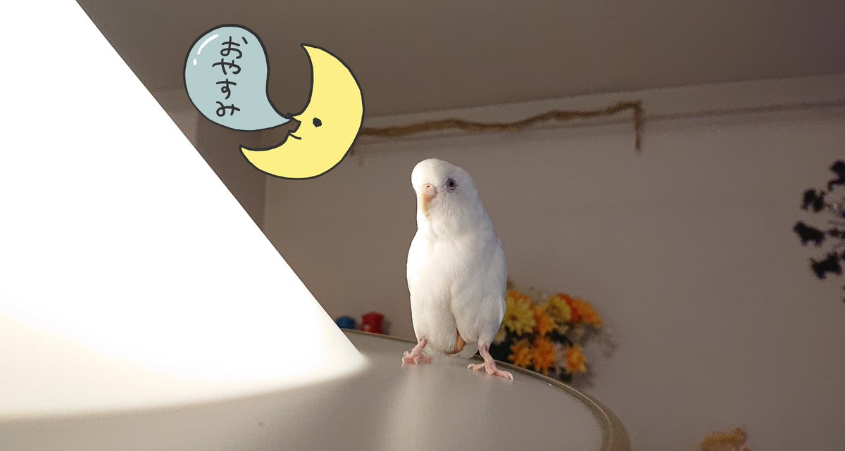 おやすみなさい🤗
明日も良い日になりますように👍
皆様の安寧を祈念いたします🤗🤗

今日はゆっくりゆったり出来ました🤗
明日からまた頑張ります🤗