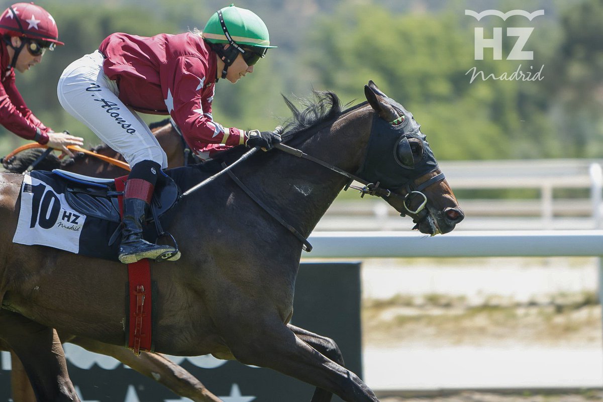 Hipódromo de La Zarzuela tweet media