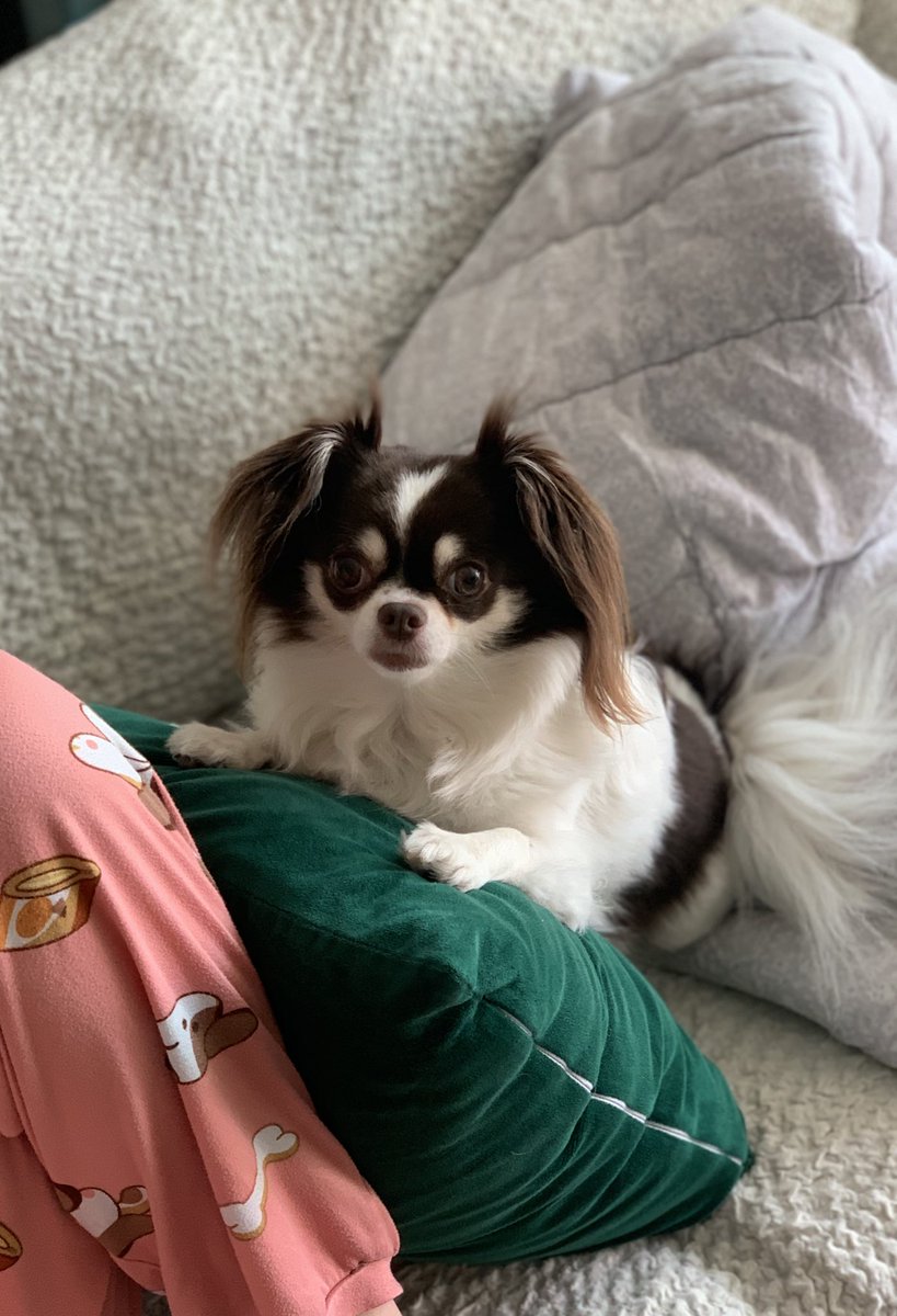 언니가 맛난거 묵고있어