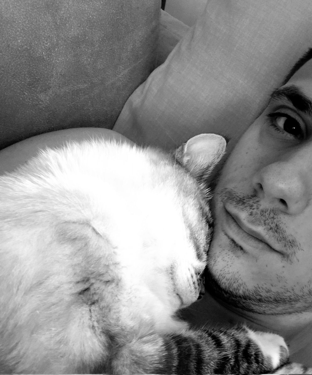 Anche voi avete gatti cozza 🤣😍