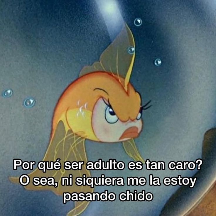 Jsjsjsjs
