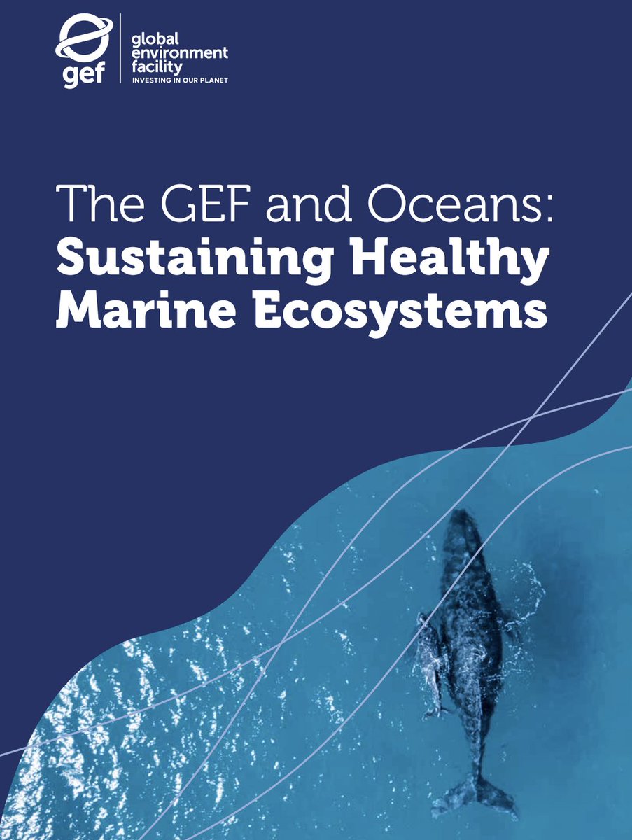 Global Environment Facility (GEF) (@thegef) on Twitter photo Healthy ocean ecosystems are essential for people & the planet 🌏 From providing food and jobs to protecting biodiversity and storing carbon, our oceans do it all.
This #WorldOceanDay read how <a href="/theGEF/">Global Environment Facility (GEF)</a> investments are accelerating action to #SaveOurOcean 🌊thegef.org/newsroom/publi… Healthy ocean ecosystems are essential for people & the planet 🌏 From providing food and jobs to protecting biodiversity and storing carbon, our oceans do it all.
This #WorldOceanDay read how <a href="/theGEF/">Global Environment Facility (GEF)</a> investments are accelerating action to #SaveOurOcean 🌊thegef.org/newsroom/publi…