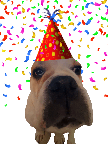 lunas birthday 🥳🥳🥳🥳🥳