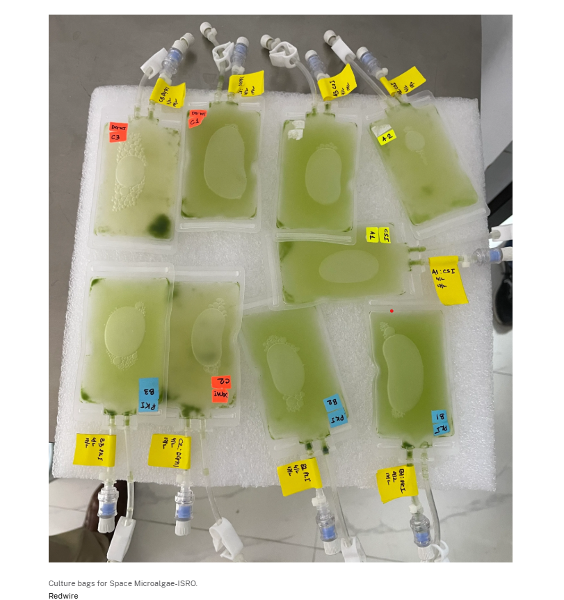 Department of Biotechnology (@dbtindia) on Twitter photo .The first experiment aims to study the Impact of microgravity conditions in ISS on the growth of Edible Microalgae. (<a href="/ICGEBNewDelhi/">ICGEB, New Delhi</a> , <a href="/DBTIndia/">Department of Biotechnology</a>, Government of India) <a href="/DrJitendraSingh/">Dr Jitendra Singh</a> <a href="/rajesh_gokhale/">Rajesh Gokhale</a> <a href="/isro/">ISRO</a> <a href="/NASA/">NASA</a> .The first experiment aims to study the Impact of microgravity conditions in ISS on the growth of Edible Microalgae. (<a href="/ICGEBNewDelhi/">ICGEB, New Delhi</a> , <a href="/DBTIndia/">Department of Biotechnology</a>, Government of India) <a href="/DrJitendraSingh/">Dr Jitendra Singh</a> <a href="/rajesh_gokhale/">Rajesh Gokhale</a> <a href="/isro/">ISRO</a> <a href="/NASA/">NASA</a>