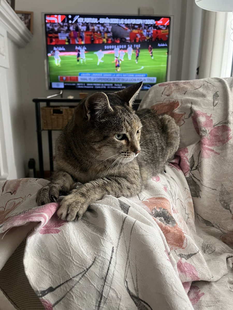 Domingo regenerativo
Ella es Channel ❤️🥹