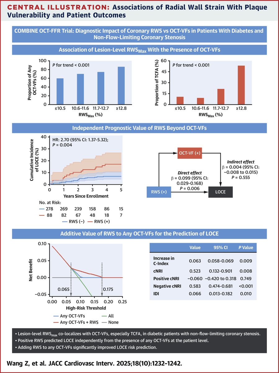 In diabetic patients with non-flow-limiting stenosis, angio-derived radial wall strain helps predict an increased risk of future cardiac events, as shown in this post-hoc analysis of COMBINE OCT-FFR. jacc.org/doi/10.1016/j.…

#JACCINT #CardioX #Diabetes